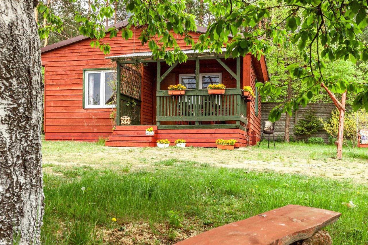 Gryfne Kaszuby Villa Kamienica Krolewska Bagian luar foto