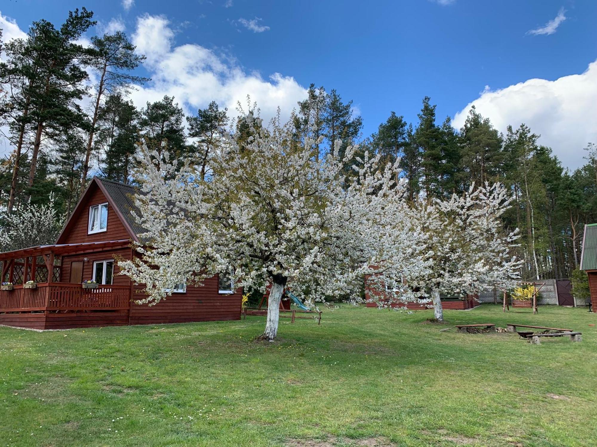 Gryfne Kaszuby Villa Kamienica Krolewska Bagian luar foto